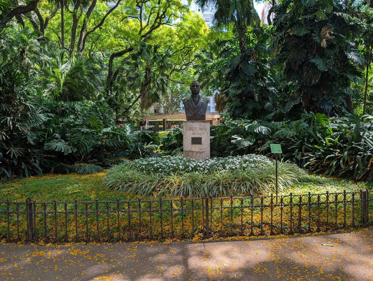 A bust among the trees