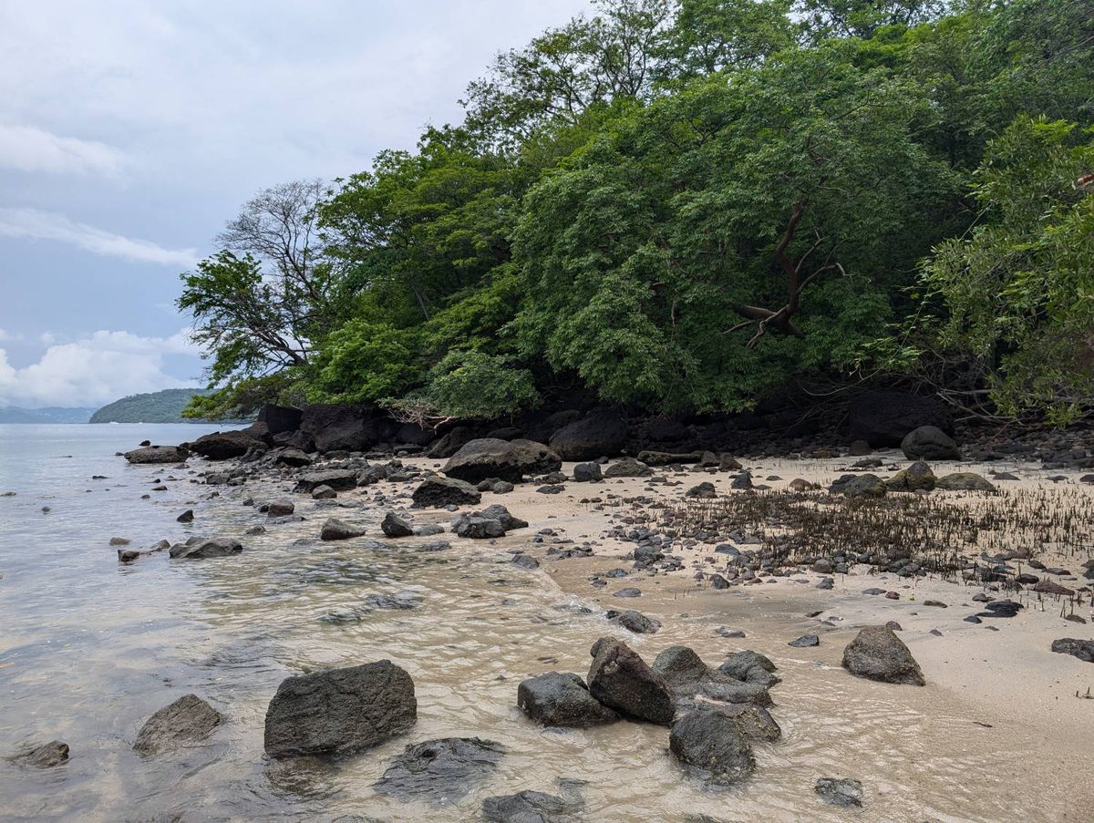 Rocks at the edge of the water