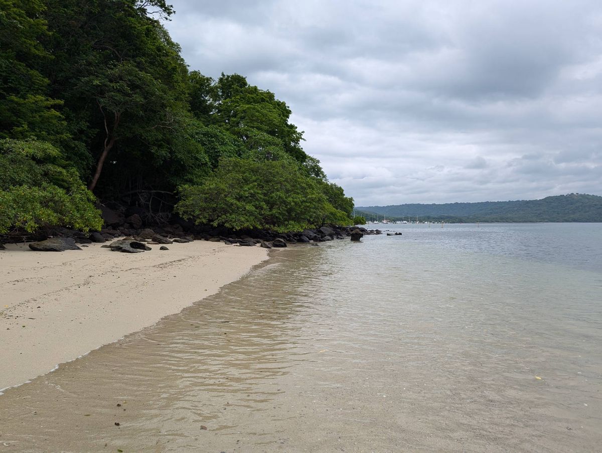Calm water along the shore