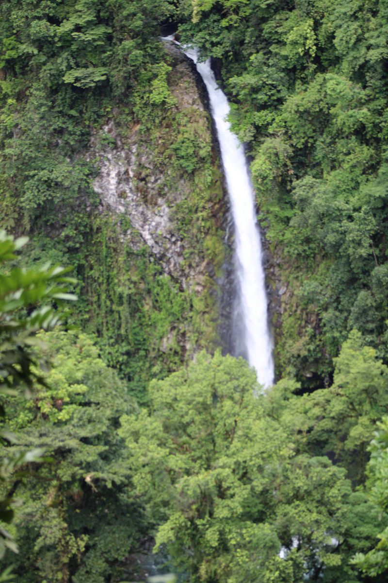 A tall waterfall in the forest