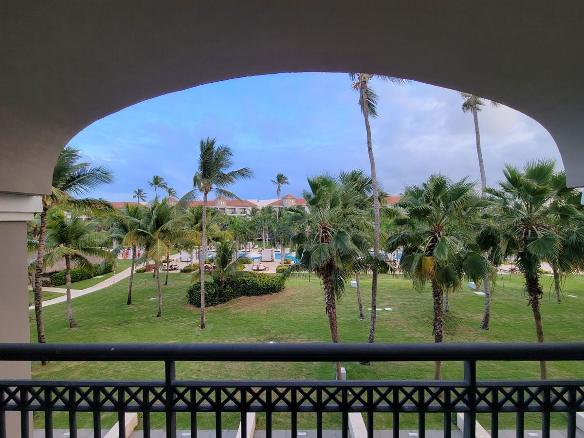 Palms through the balcony arch