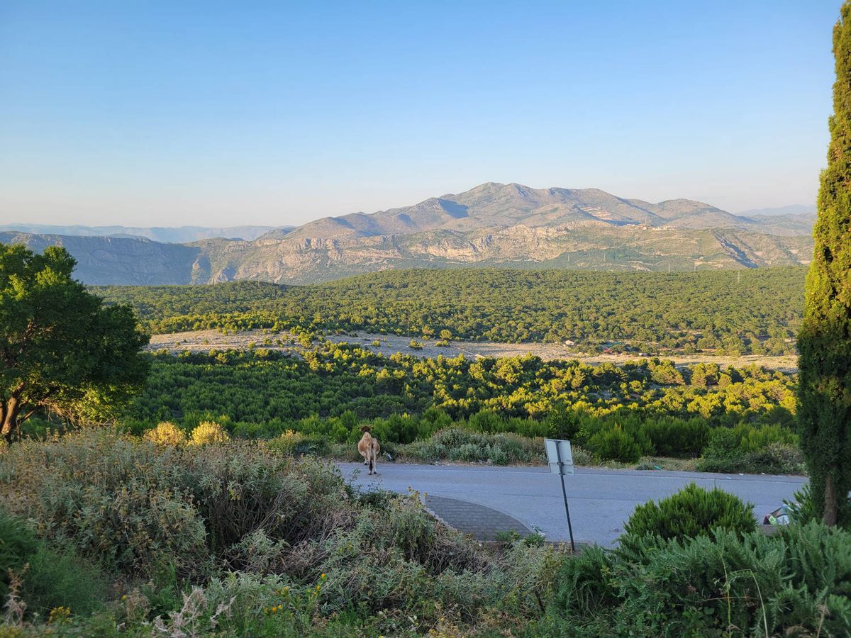 The valley in the late sun