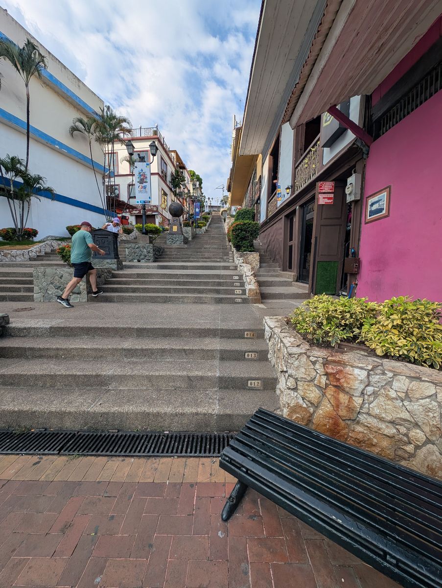 The climb starts past the bars on the lower steps