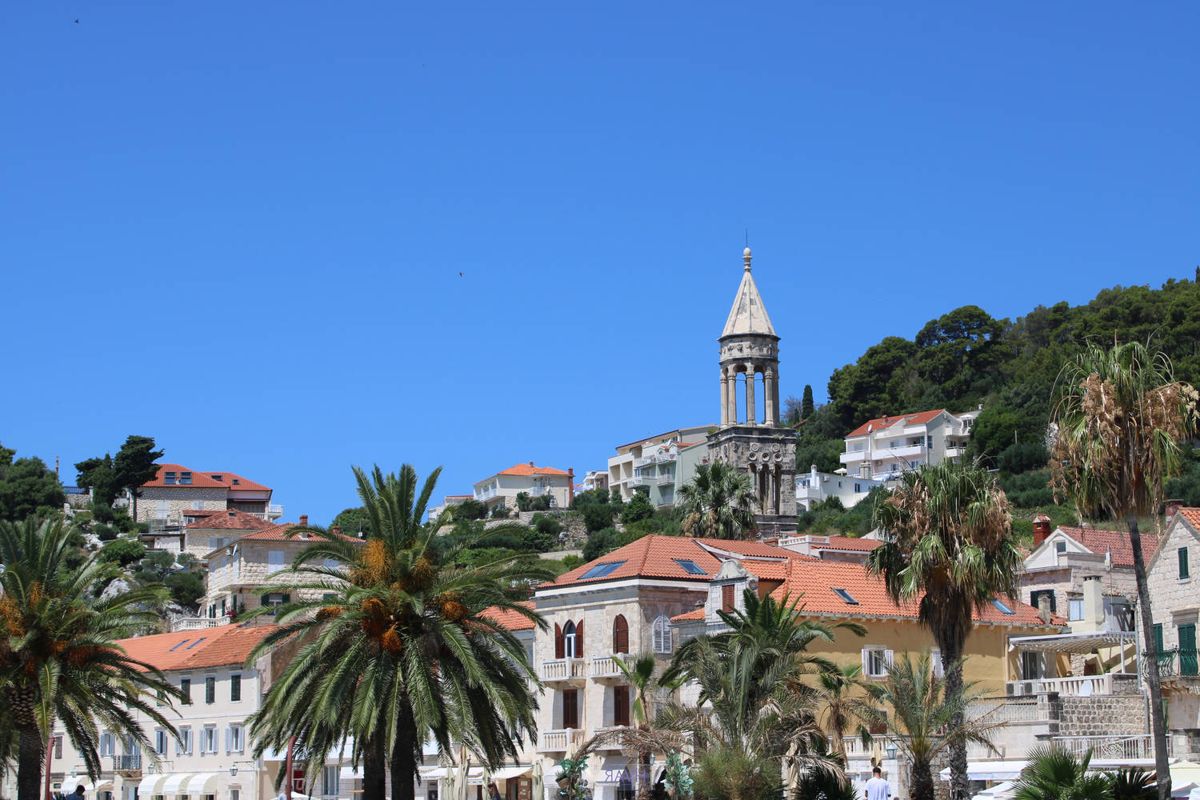 Palms and a bell tower