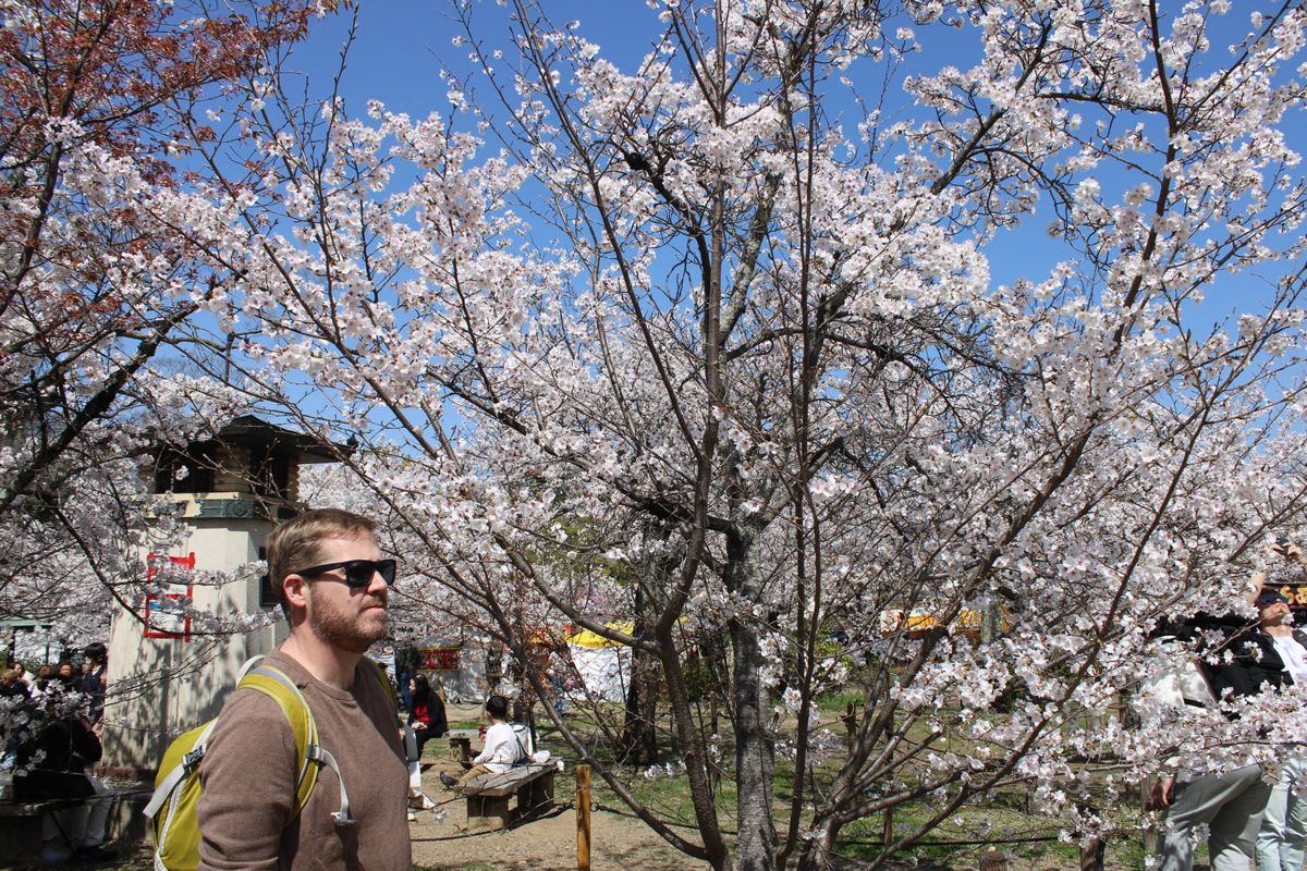 Brendan in sunglasses under the blossoms