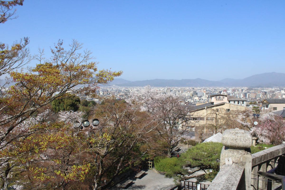 The city from the hill