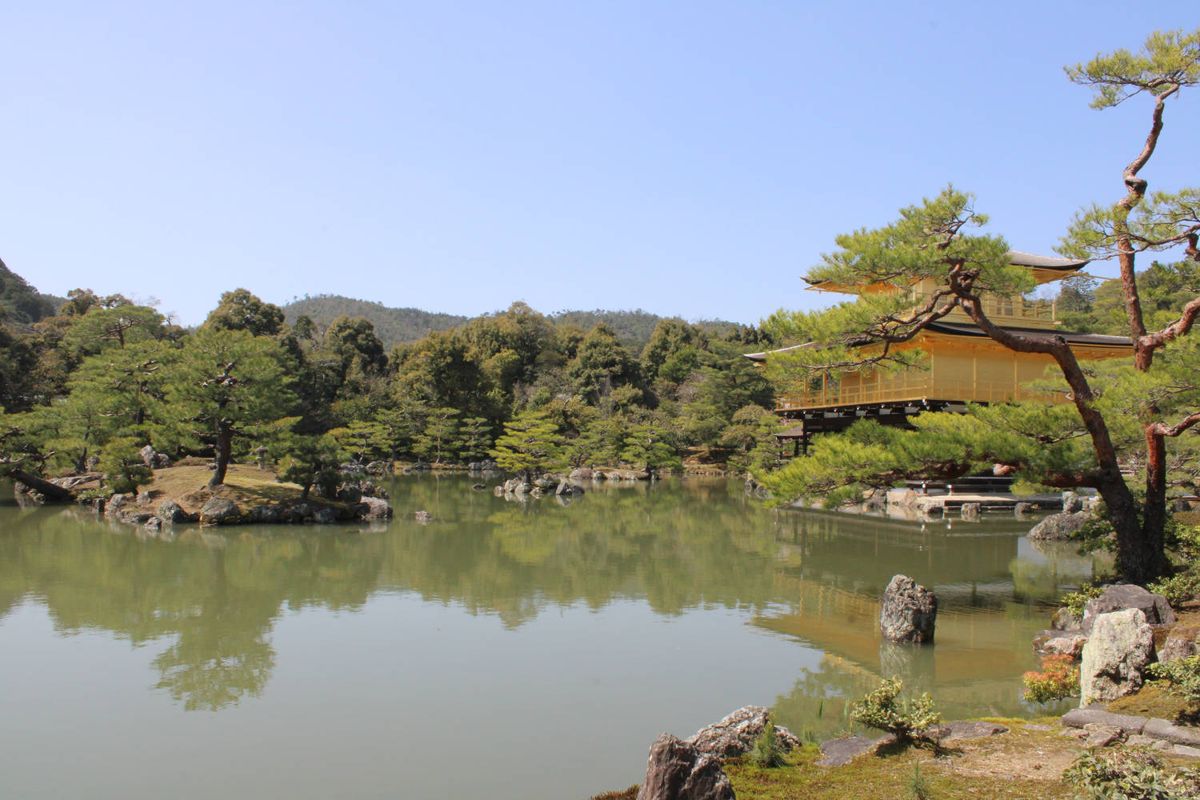 The pond and pines, the pavilion behind