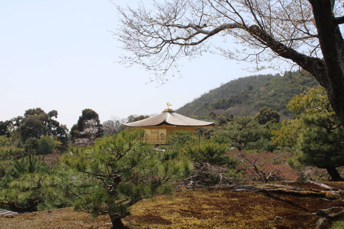 The golden roof over the gardens