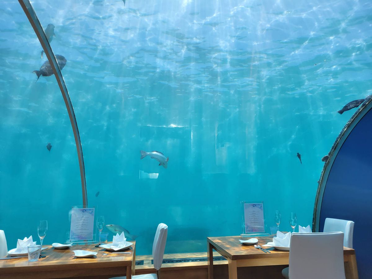 The glass tunnel and tables