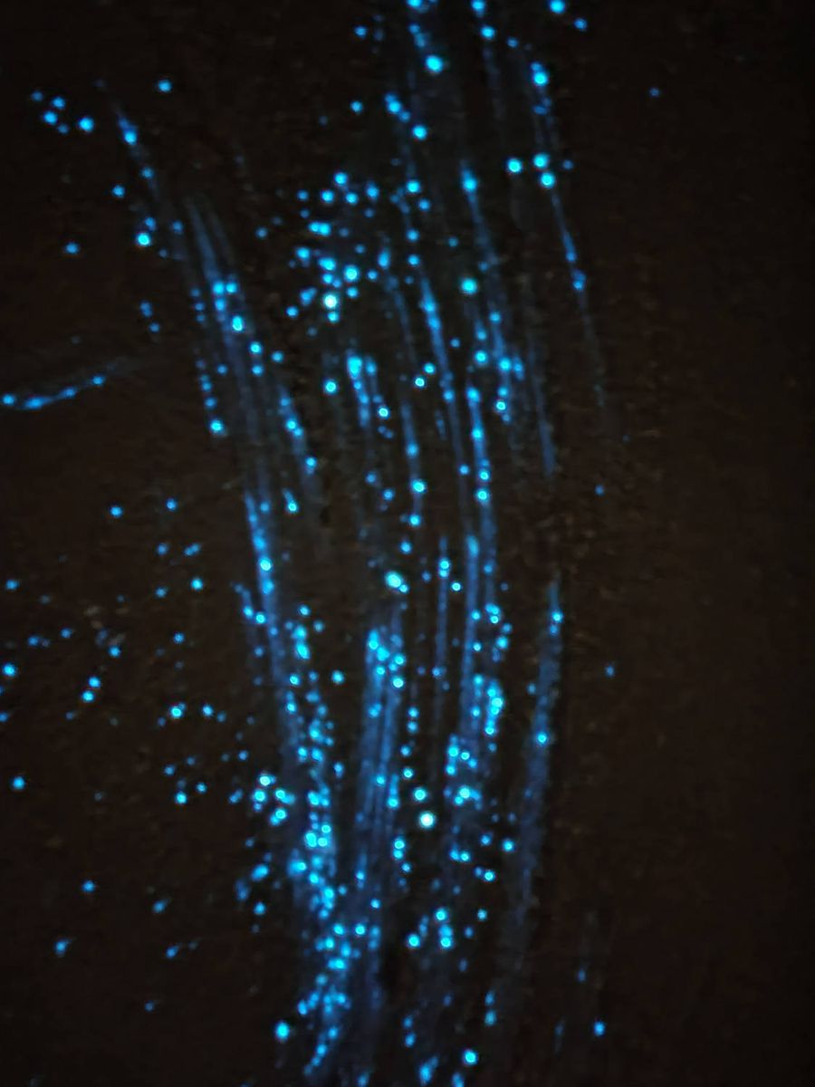 Streaks of blue light in the water