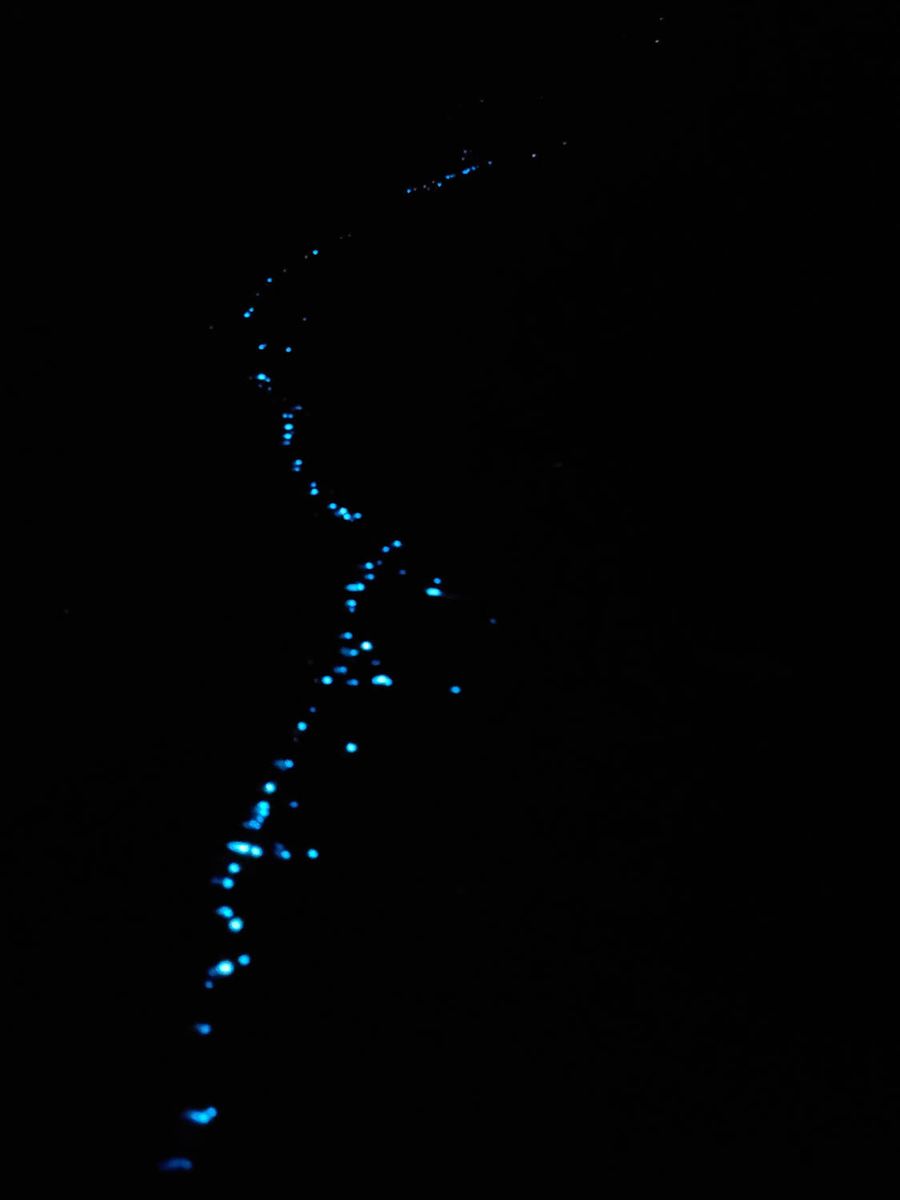 A line of blue light along the shore