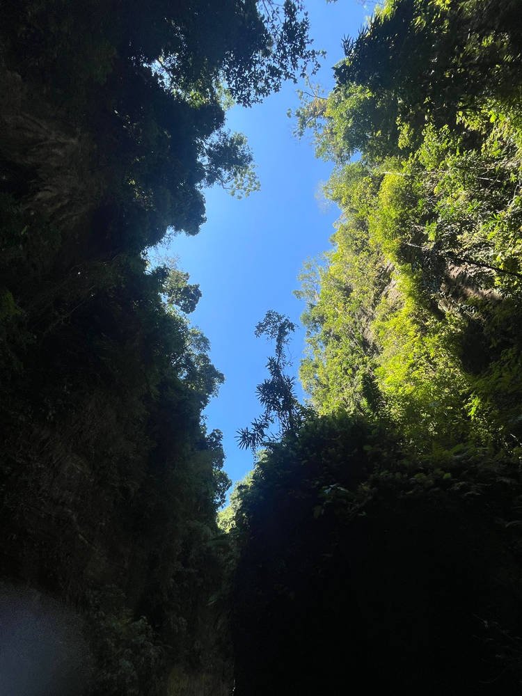 Moalboal