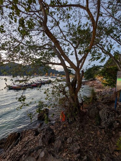 Phi Phi