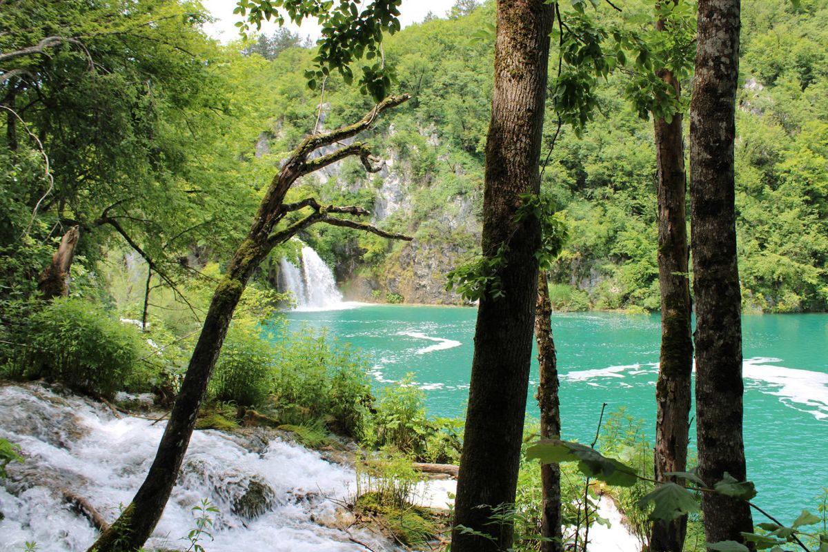 Falls and turquoise water through the trees