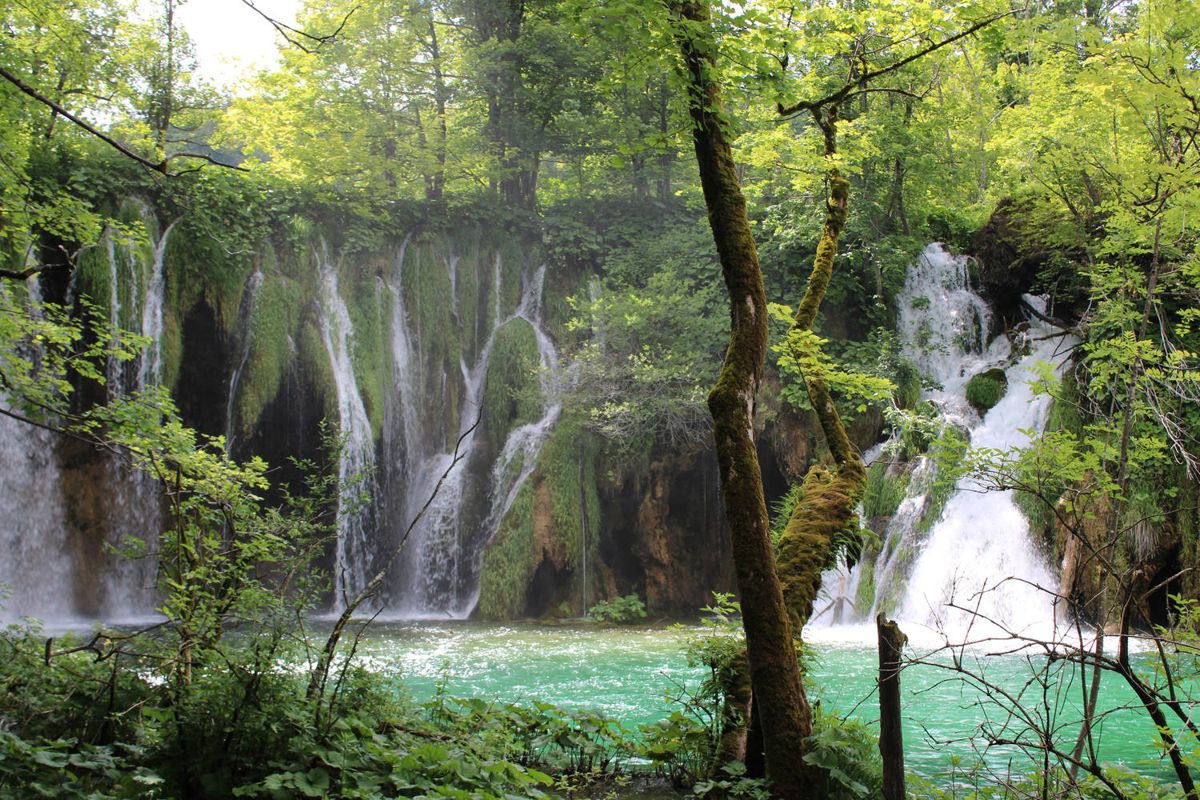 Falls behind the trees