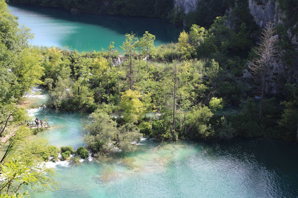 Lakes and falls between the trees
