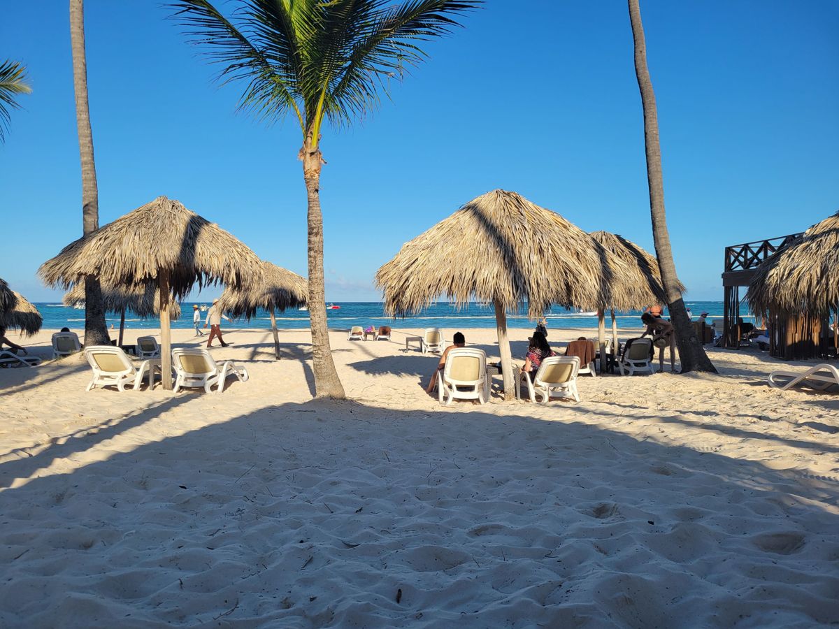 Thatched umbrellas and loungers on the beach