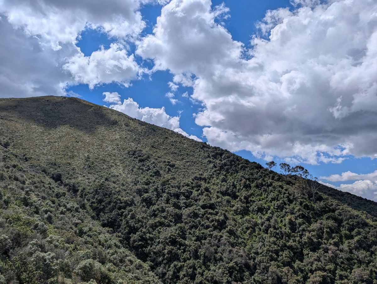 Green slopes at the top