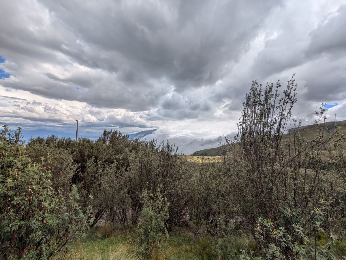 Scrub at the top, under a grey sky