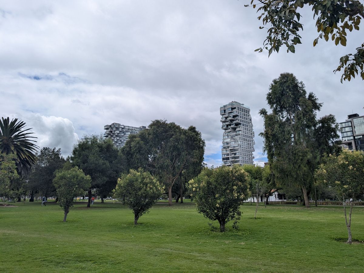 Trees, and the stacked towers beyond
