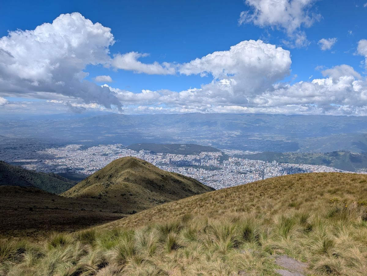 Grass, a green hill and the city