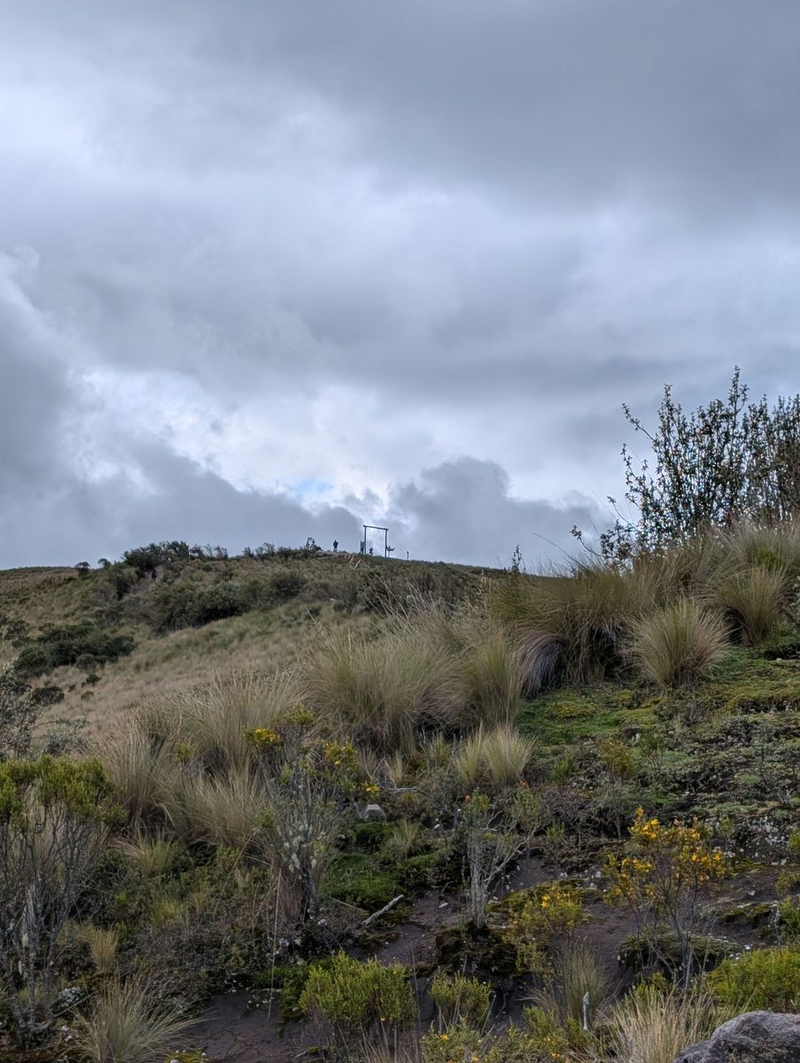 Up the hill toward a lookout