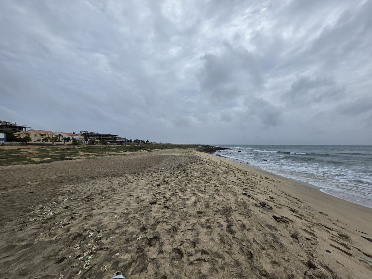 Looking down the shore