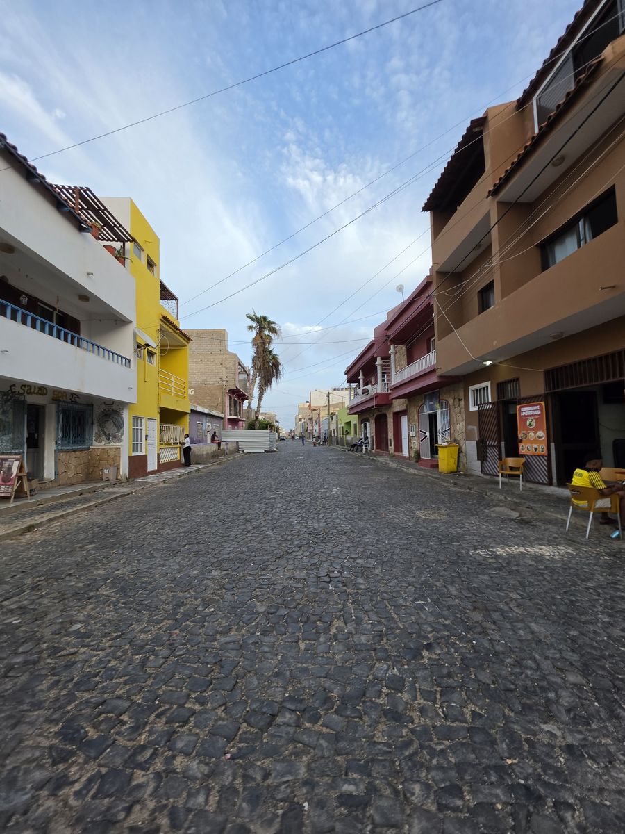Painted houses and a lone palm