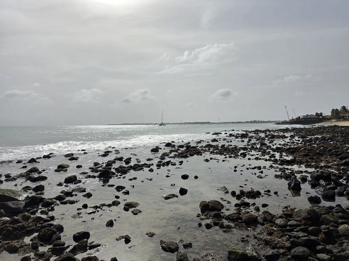 Tide pools under a silver sky