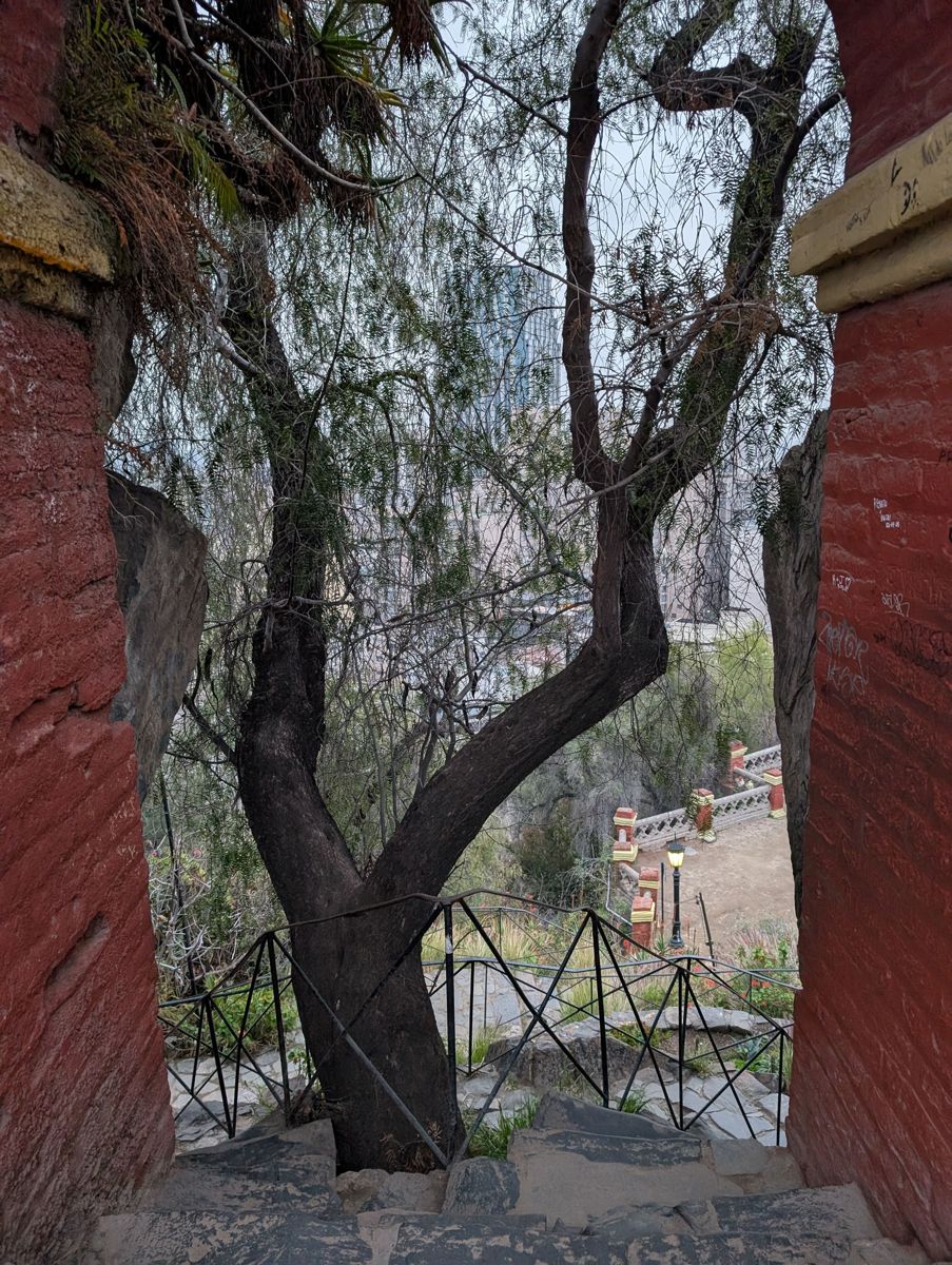 A tree framed in a red arch