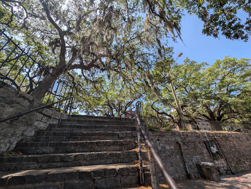 Savannah