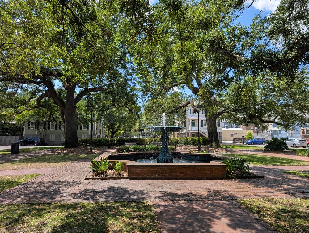 Savannah
