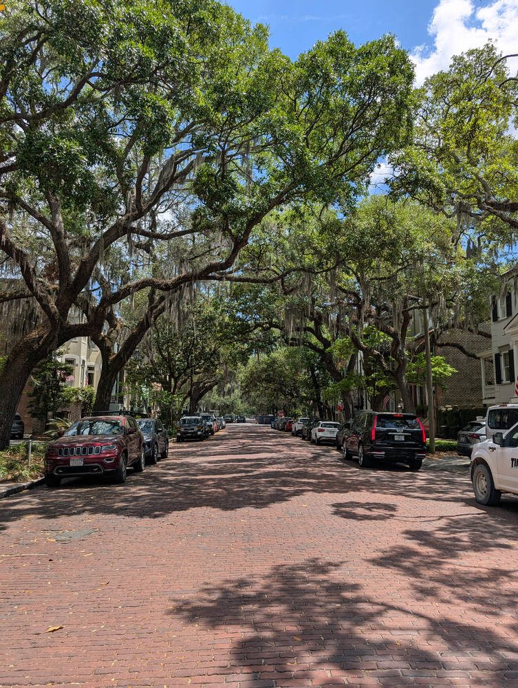 Savannah