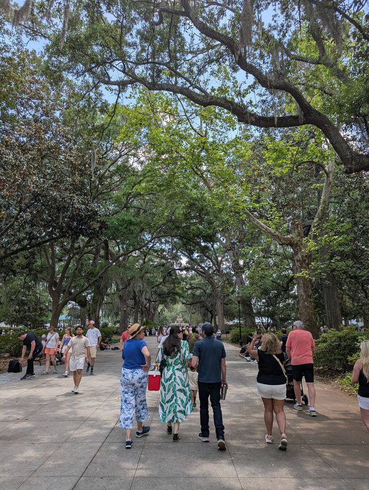Savannah