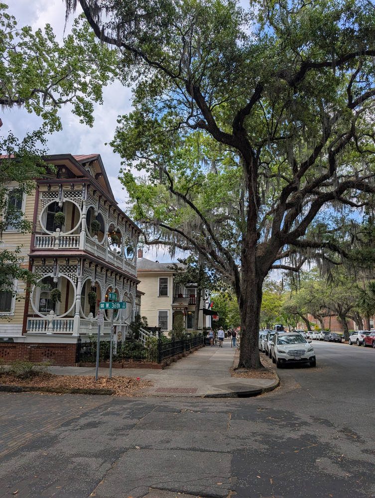 Savannah