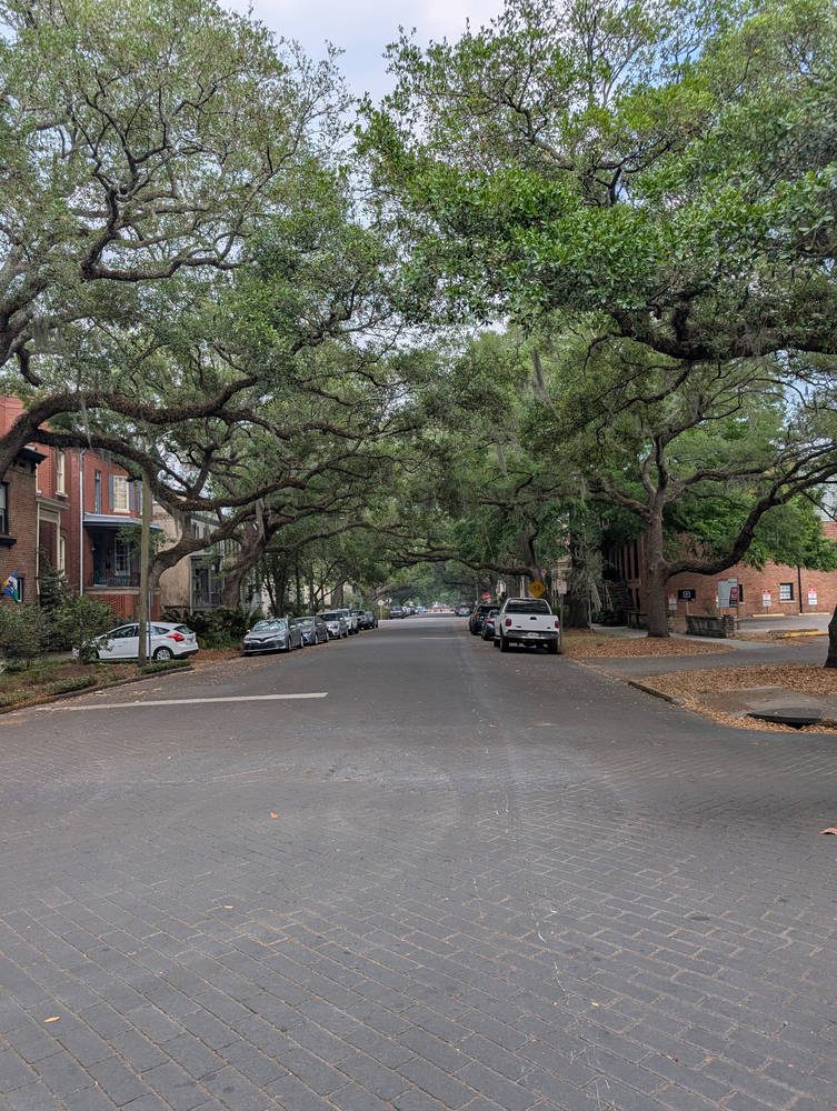 Savannah