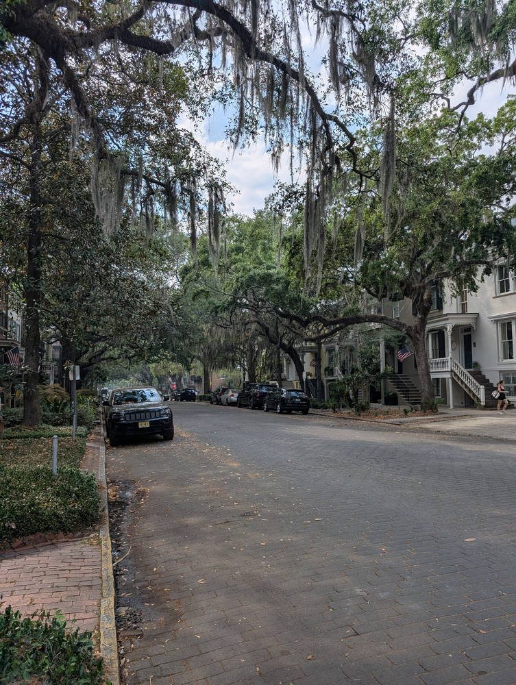 Savannah