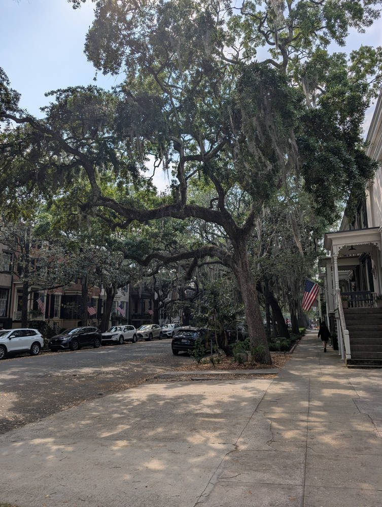 Savannah