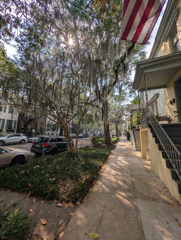Savannah