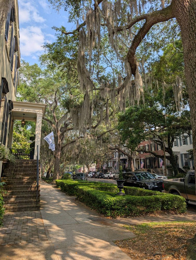 Savannah