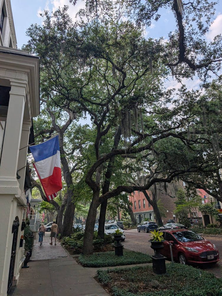 Savannah
