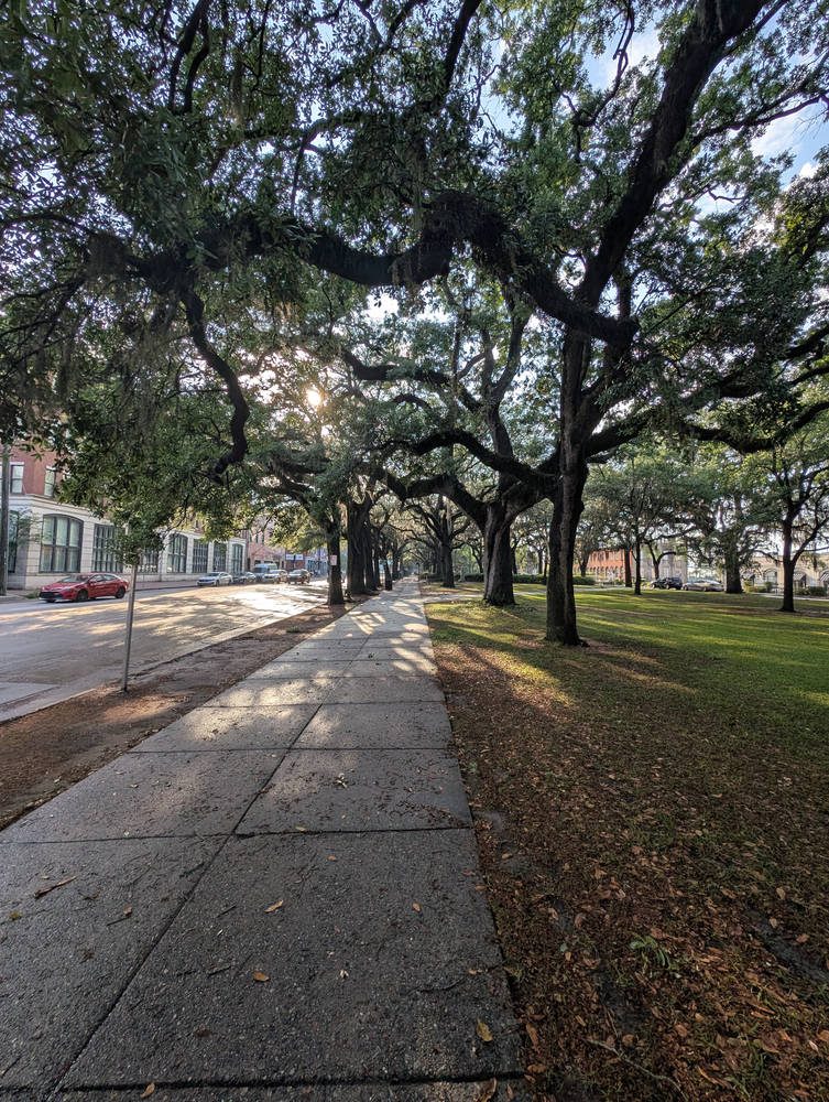 Savannah