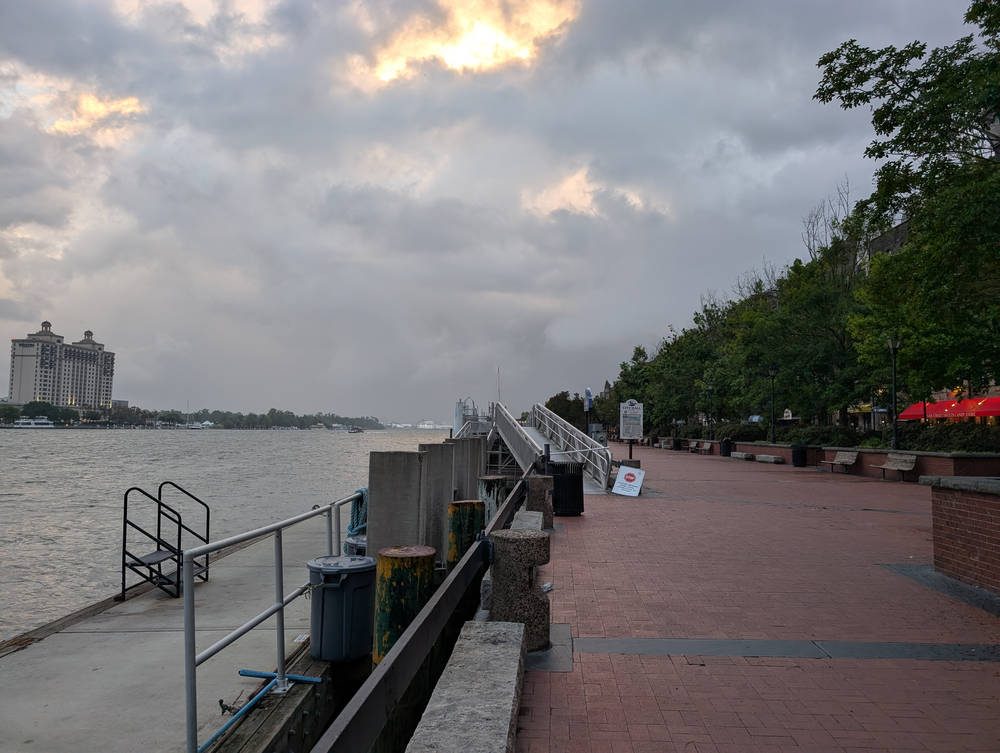 Savannah