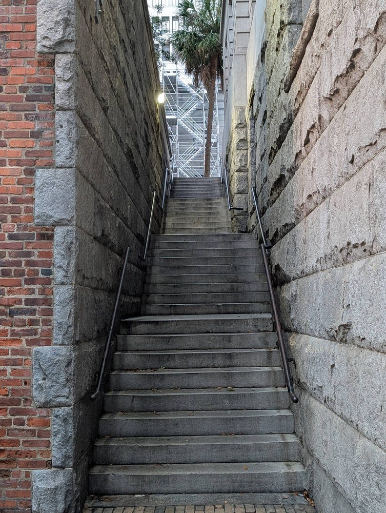 Savannah