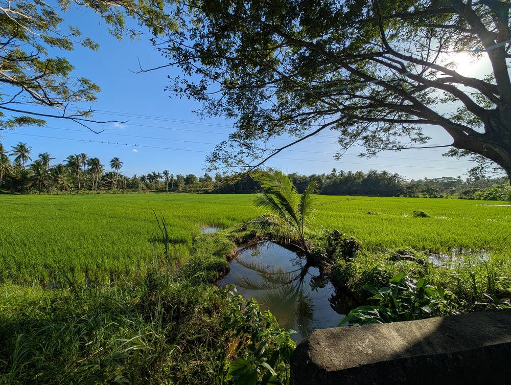 Siargao