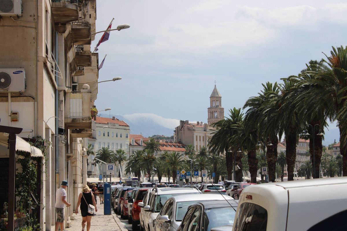 The waterfront promenade and palms
