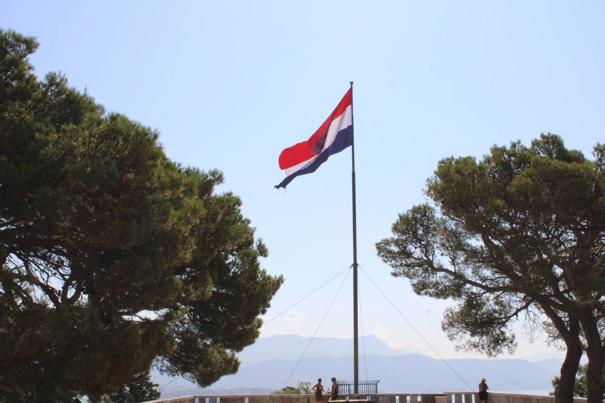 A flag over the trees