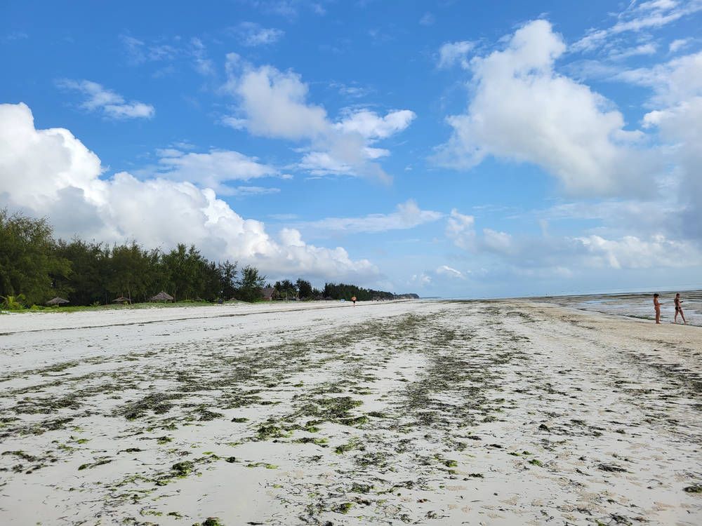 Down the beach at low tide